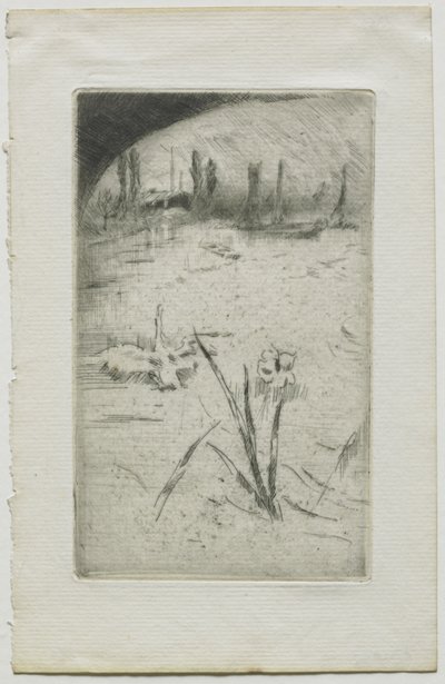 Hattyú és írisz alkotó: James McNeill Whistler