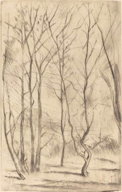 A Dam Wood alkotó: James Abbott McNeill Whistler