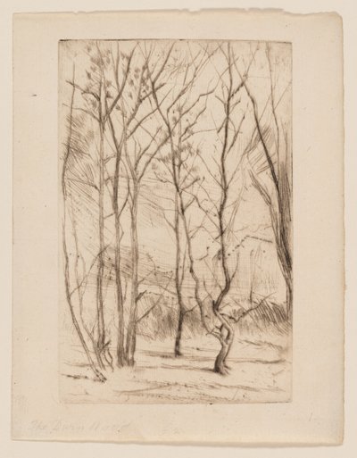 A Dam Wood alkotó: James Abbott McNeill Whistler