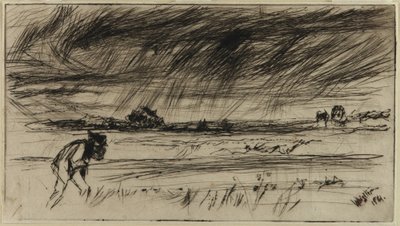 A vihar alkotó: James Abbott McNeill Whistler