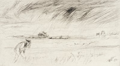 A vihar alkotó: James McNeill Whistler