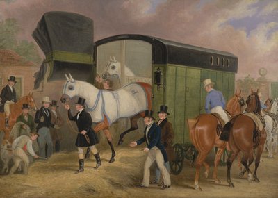 The Derby Pets: The Arrival alkotó: James Pollard