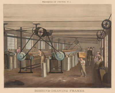 Progress of Cotton: #5 - Orsó és rajzkeretek alkotó: James Richard Barfoot