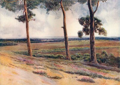 „Kilátás a Staple Hillről”, 1911, 1914 alkotó: James S Ogilvy