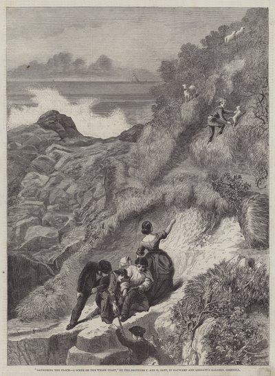 A nyáj összegyűjtése, egy jelenet a walesi parton alkotó: James Sant