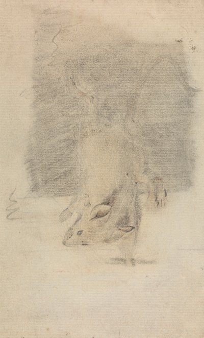 Egy egér alkotó: James Sowerby