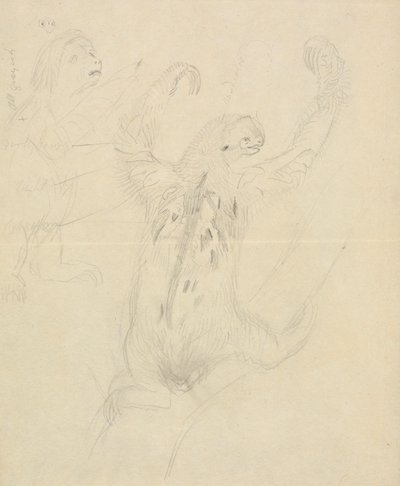 Két lajhár alkotó: James Sowerby