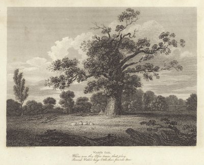 Robert Bloomfield, költő: Wake