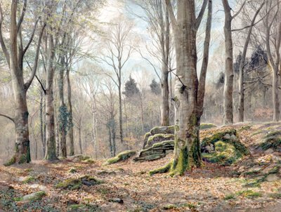 Egy walesi erdő (akvarell) alkotó: James Thomas Watts