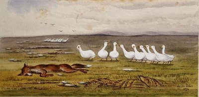 Róka és liba játéka alkotó: James W. Usher