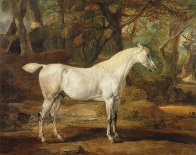 Egy szürke arab mén, Sir Watkin Williams-Wynn tulajdona, 1815-20 körül (olaj, vászon) alkotó: James Ward