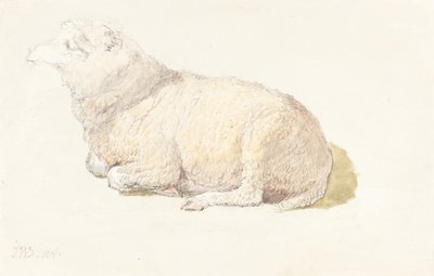 Pihenő birka alkotó: James Ward