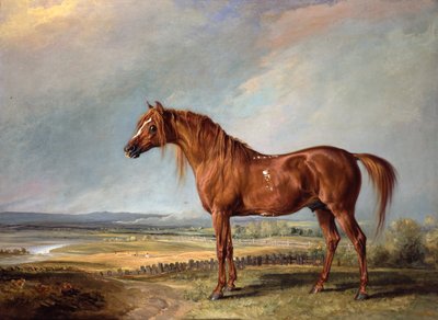 Koppenhága, Wellington kedvenc töltője, tájban alkotó: James Ward