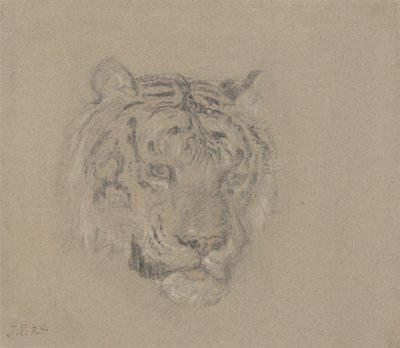 Egy tigris feje alkotó: James Ward