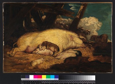 Sertés, 1793 előtt nem alkotó: James Ward
