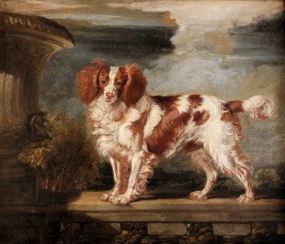 Dash, a kedvenc spániel portréja, Lady Frances Vane-Tempest tulajdona alkotó: James Ward