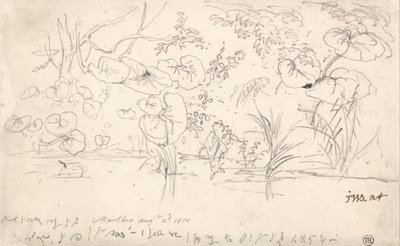 Tanulmányok a növényekről, 1815. augusztus 2. alkotó: James Ward