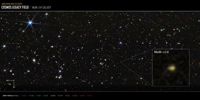 COSMOS-mező, MoM-z14 galaxis (NIRCam-felvétel) alkotó: James Webb Space Telescope (NASA)