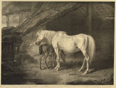 Primrose and Foal, a Celebrated Horses-ból, a művész által kiadott tizennégy versenynyomatból álló készlet, 1823-24 alkotó: James after Ward