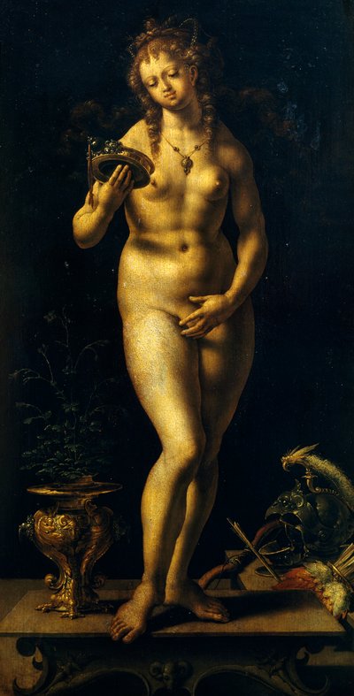 Vénusz (olaj a panelen) alkotó: Jan (c.1472 c.1533) Gossaert
