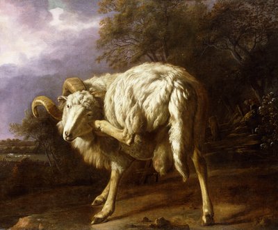 Egy kos erdős tájon, alkotó: Jan Baptist Weenix