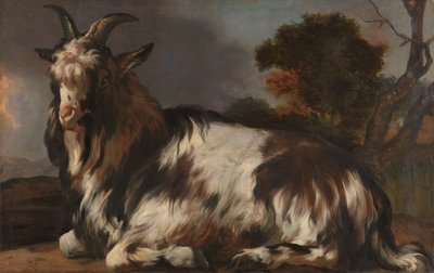 Kecske fekve alkotó: Jan Baptist Weenix