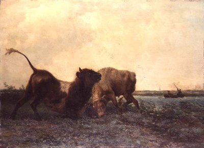 Bulls Fighting alkotó: Jan Bedys Tom