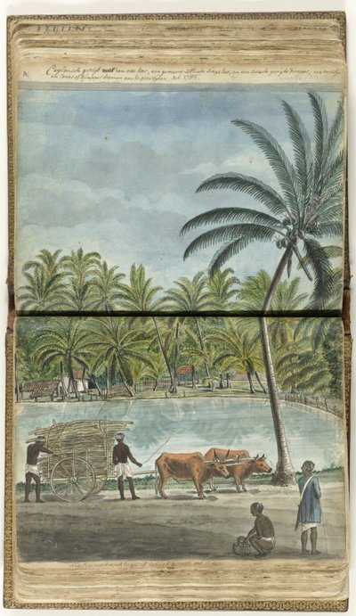 Ceylon arca egy ökrös szekérrel, egy guggoló szingalával és egy fekete végrehajtóval alkotó: Jan Brandes