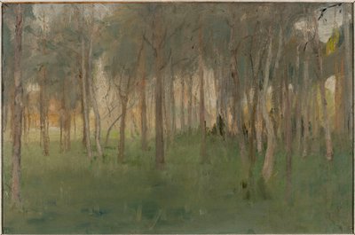 Marino - Liget alkotó: Jan Ciągliński