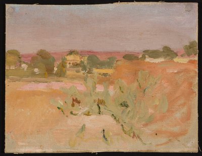 Rosa Landschaft mit Kakteen. Aus einer Reise nach Indien alkotó: Jan Ciągliński
