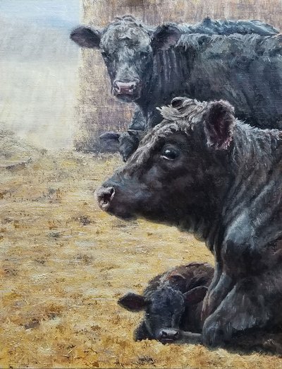 A fekete szarvasmarha-család alkotó: Jan Clizer