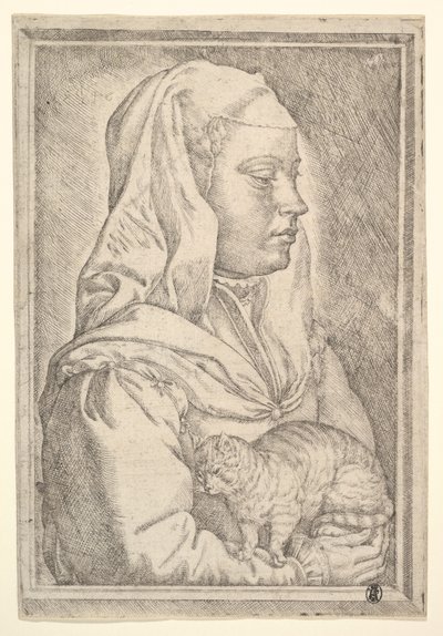 Lány macskával, 1546. alkotó: Jan Cornelisz Vermeyen
