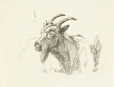 fekvő kecske alkotó: Jan Dasveldt