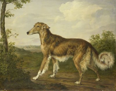 Szibériai agár alkotó: Jan Dasveldt