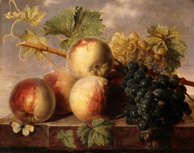 Őszibarack és szőlő káposztafehérrel a márványpárkányon, alkotó: Jan Frans van Dael