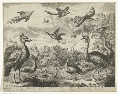 Különböző madarak a tájon alkotó: Jan Griffier (I) (copy after)