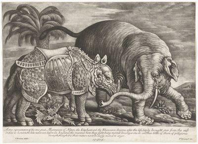 Olifant een neushoorn A természet két nagyszerű remekművének, az elefántnak és az orrszarvúnak valós ábrázolása (cím a tárgyon) alkotó: Jan Griffier (I)