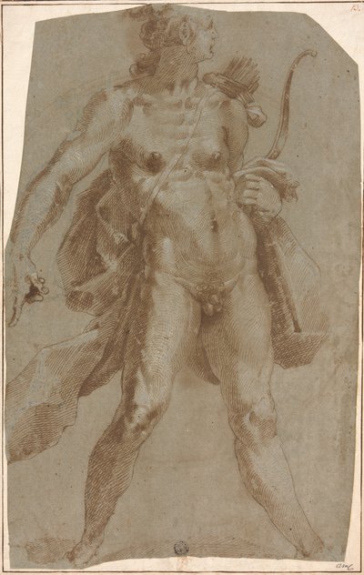 Apollo alkotó: Jan Harmensz. Muller