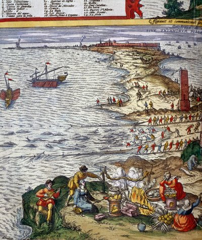 Halászati jelenet és hal előkészítése Cadiz kikötővárosában alkotó: Jan Janssonius