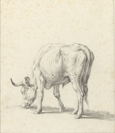 legelő bika alkotó: Jan Kobell (II)