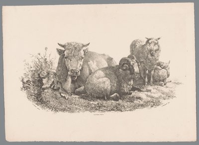 Tehén, kos és két bárány Beesten Studien J. Kobell Paul Potter nyomán Nr. 1 (sorozat címe) alkotó: Jan Kobell (III)