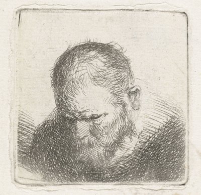 szakállas férfi alkotó: Jan Lievens (possibly)
