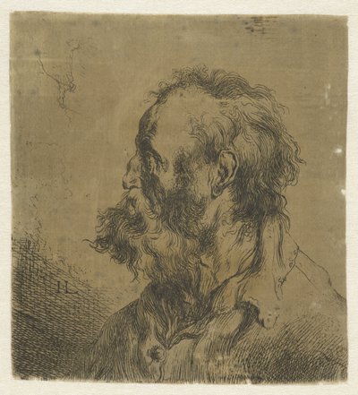 Egy szakállas idős férfi mellszobra Különböző tronikens geet, J. L. (sorozat címe) alkotó: Jan Lievens