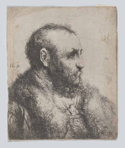 Idős férfi mellszobra prémgallérral alkotó: Jan Lievens