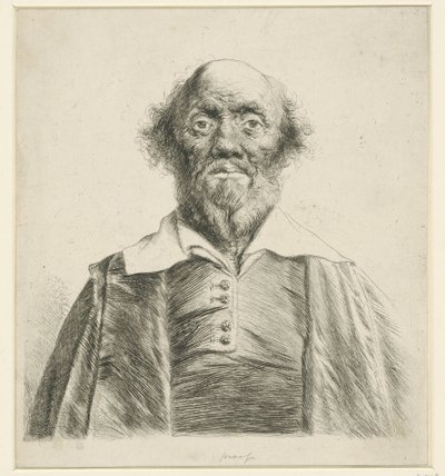 Egy öregember portréja alkotó: Jan Lievens