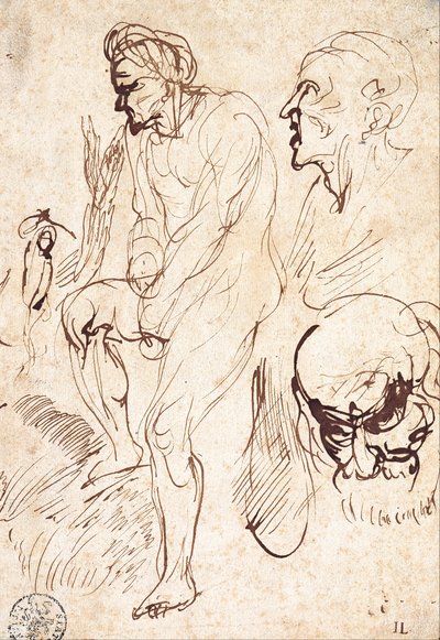 Tanulmányok a modell után alkotó: Jan Lievens