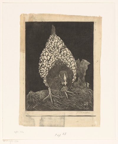 ezüst wyandotte alkotó: Jan Mankes (signed by artist)