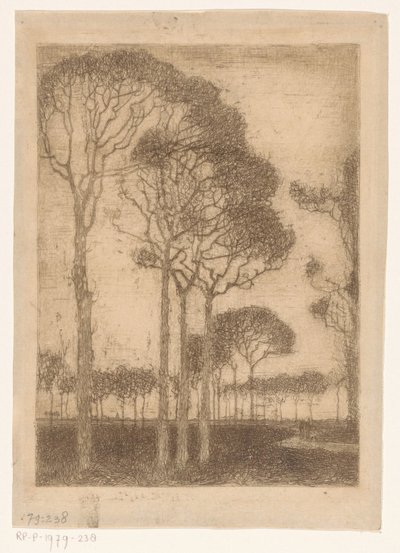 Fák az Oranjewoud szélén alkotó: Jan Mankes