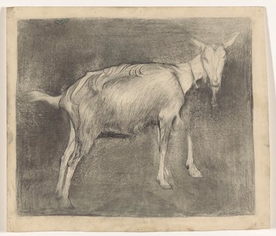 álló kecske alkotó: Jan Mankes