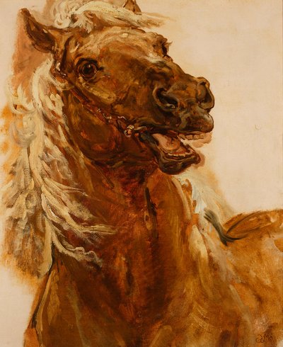 A „Zamoyski Byczyna mellett” című festményhez készült lófej-vázlat alkotó: Jan Matejko